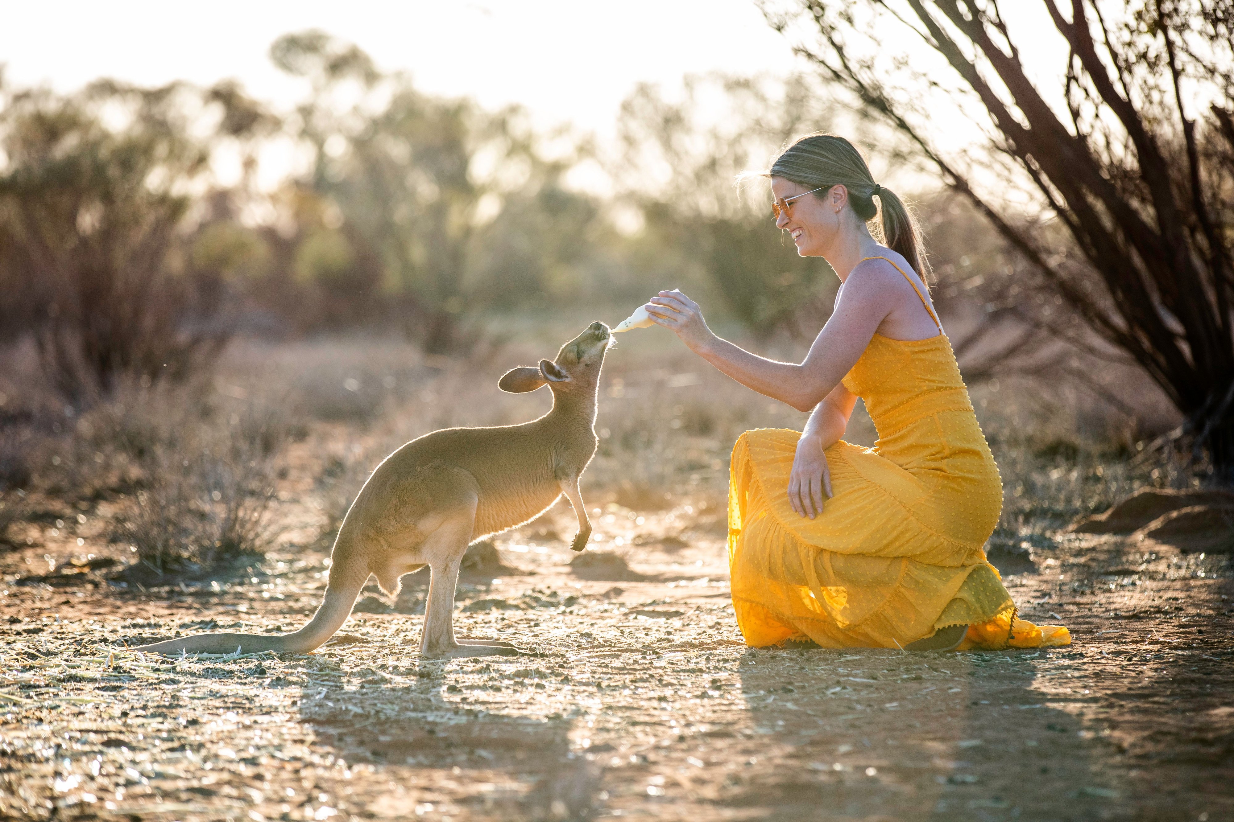 Alice Springs & MacDonnell Ranges: Rich in culture & Nature
