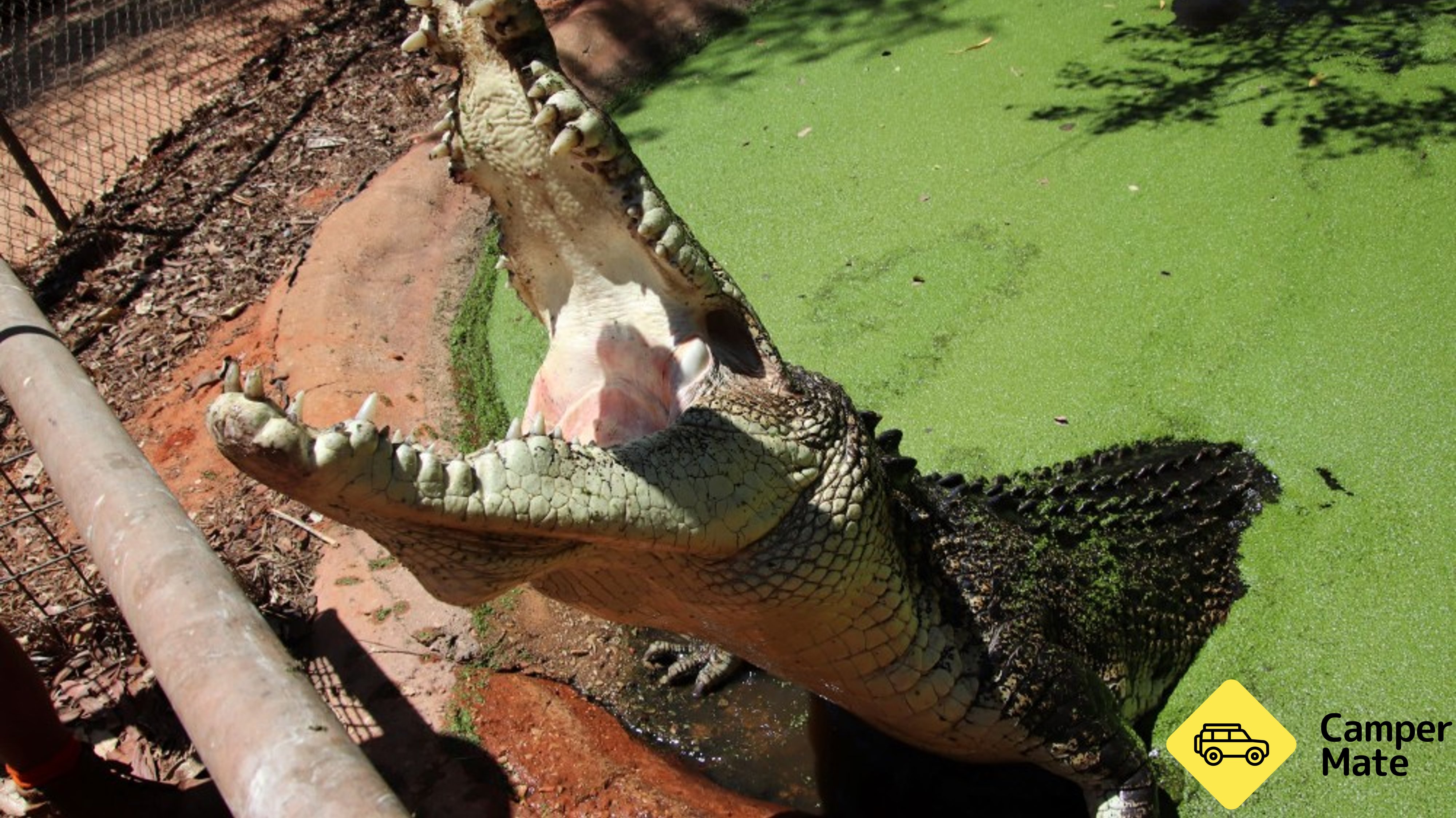 Malcolm Douglas Crocodile Park
