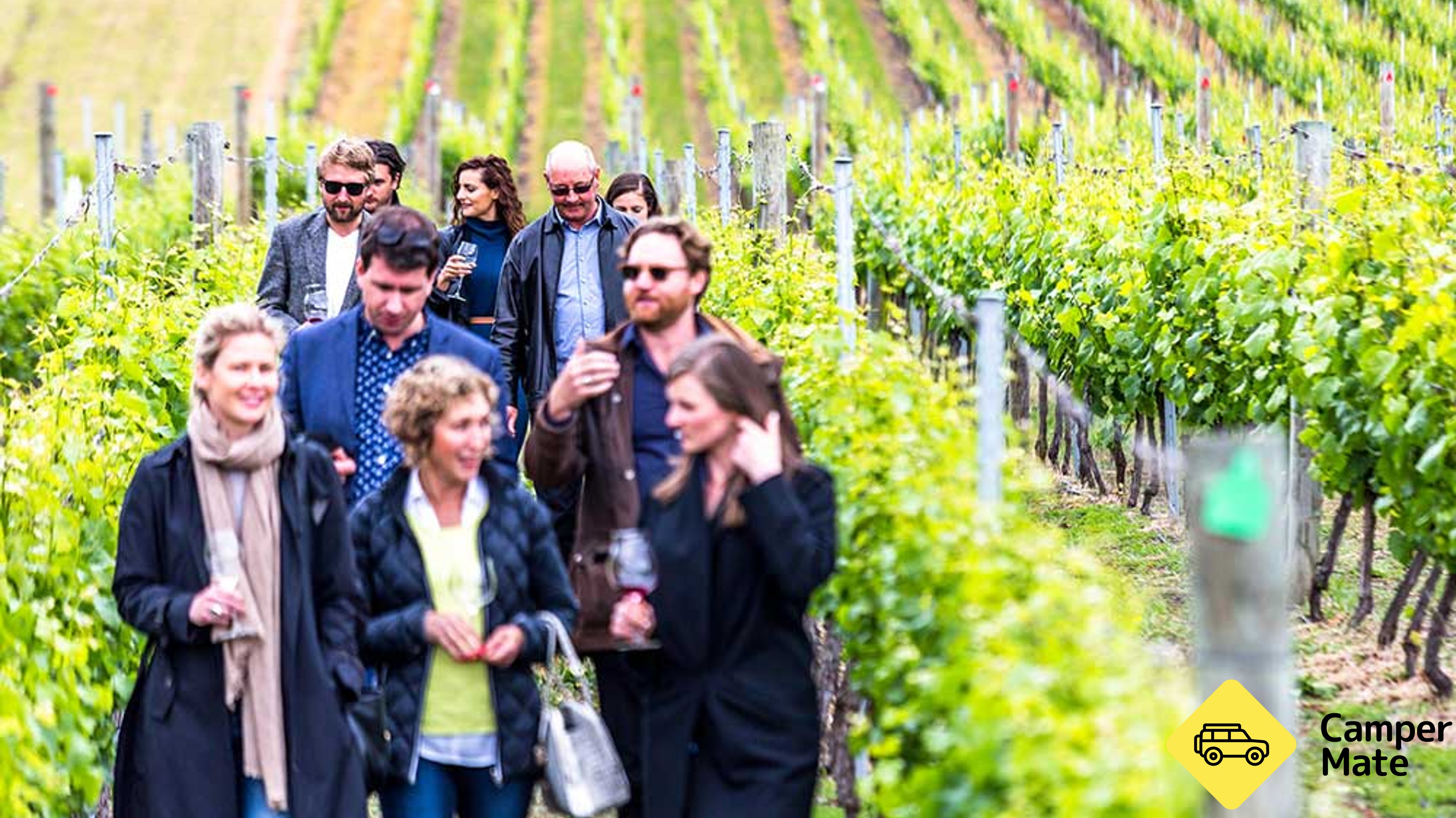 Southern Tasmania Full Day Wine Tasting Tour