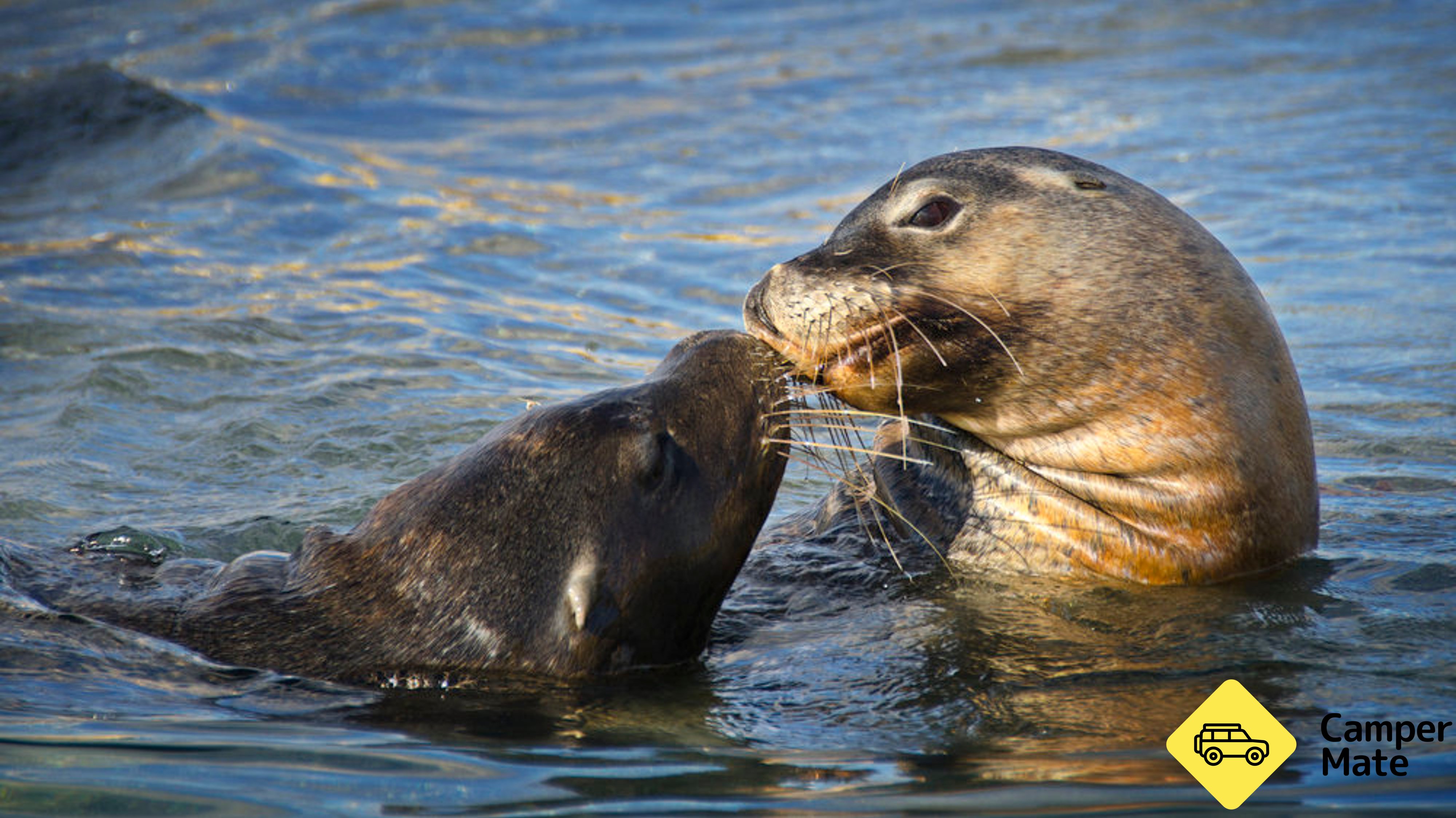 Perth Wildlife Encounters