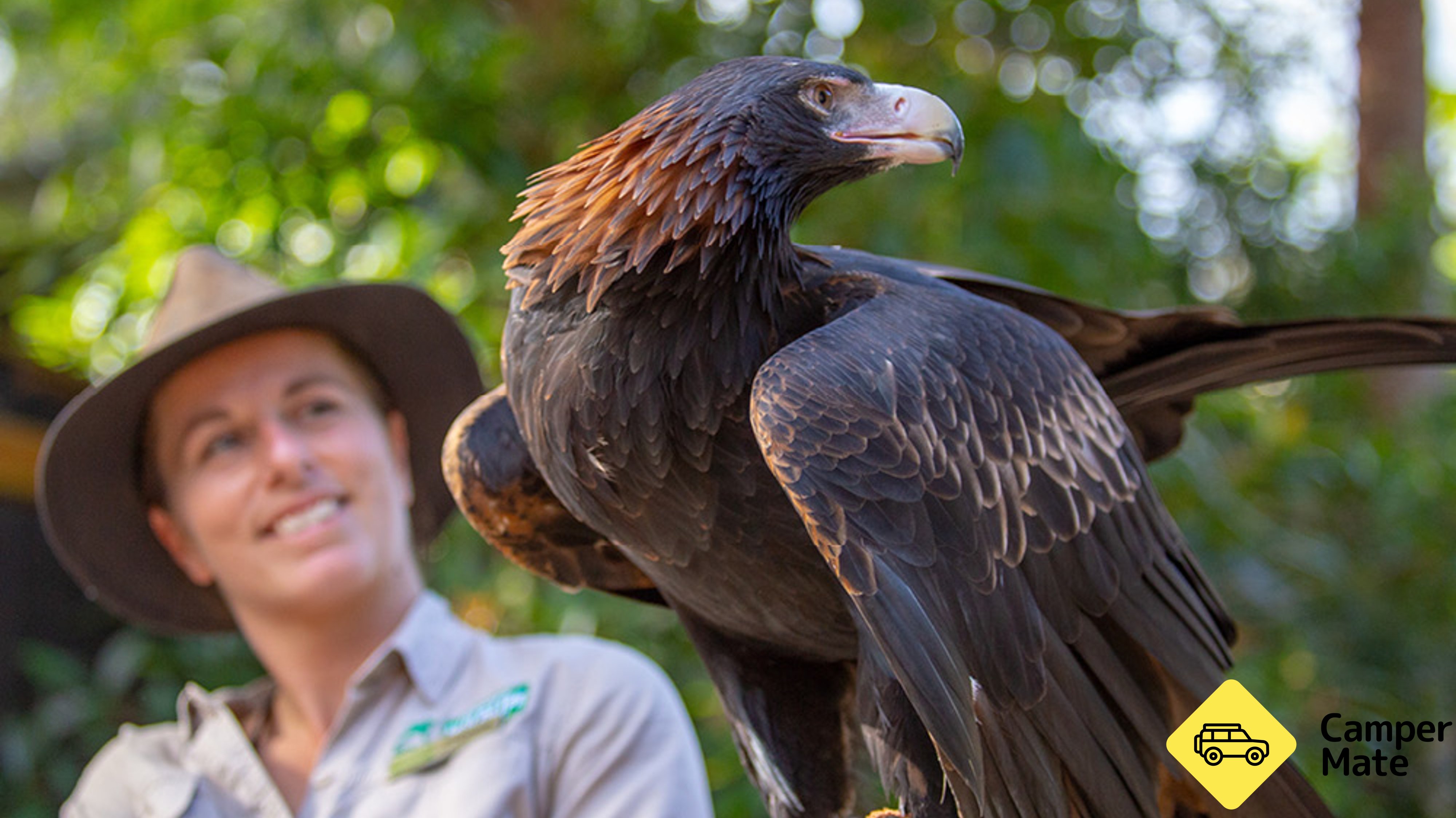 Currumbin Wildlife Sanctuary