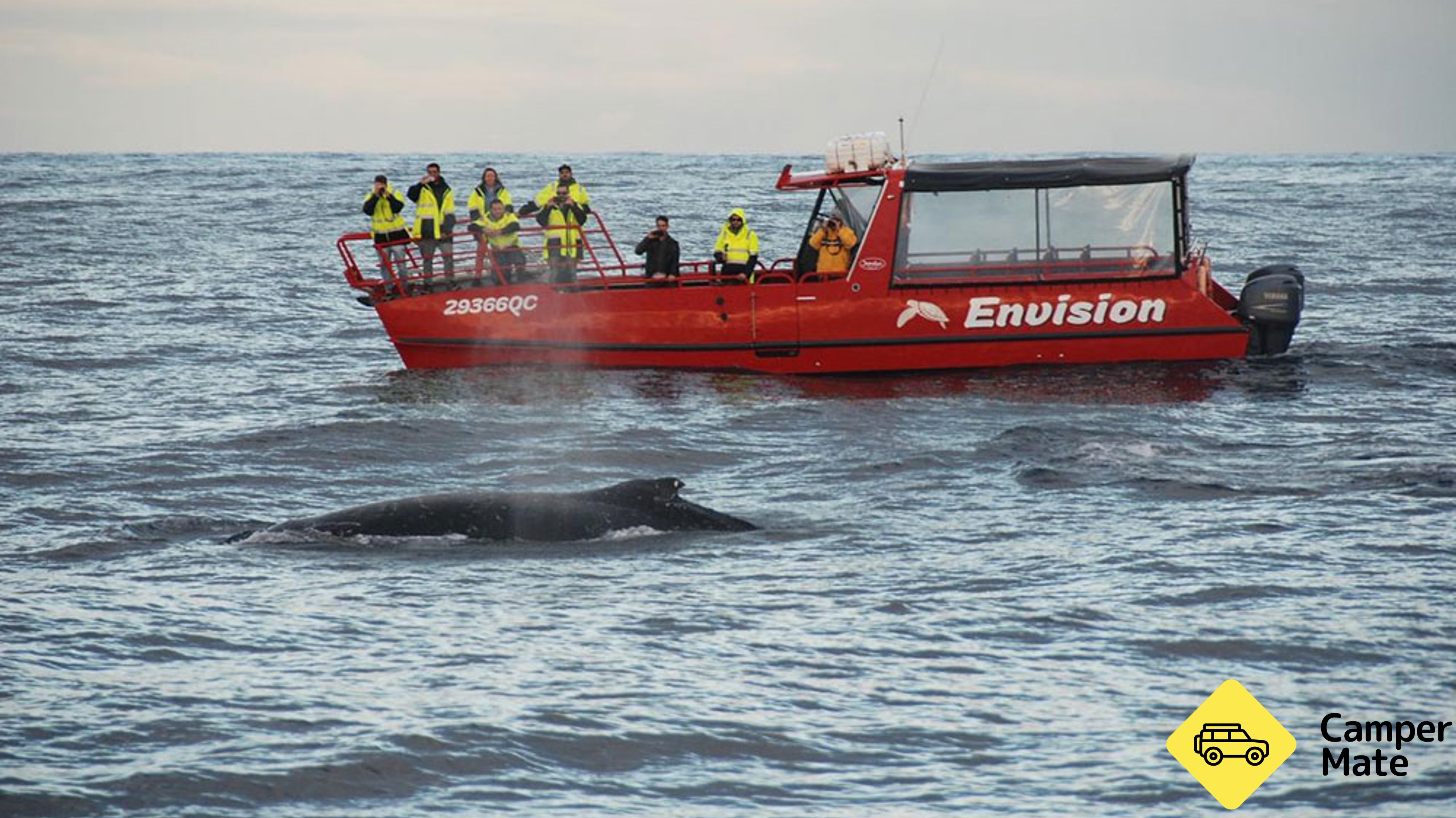 Port Stephnes Whale Watch Cruise