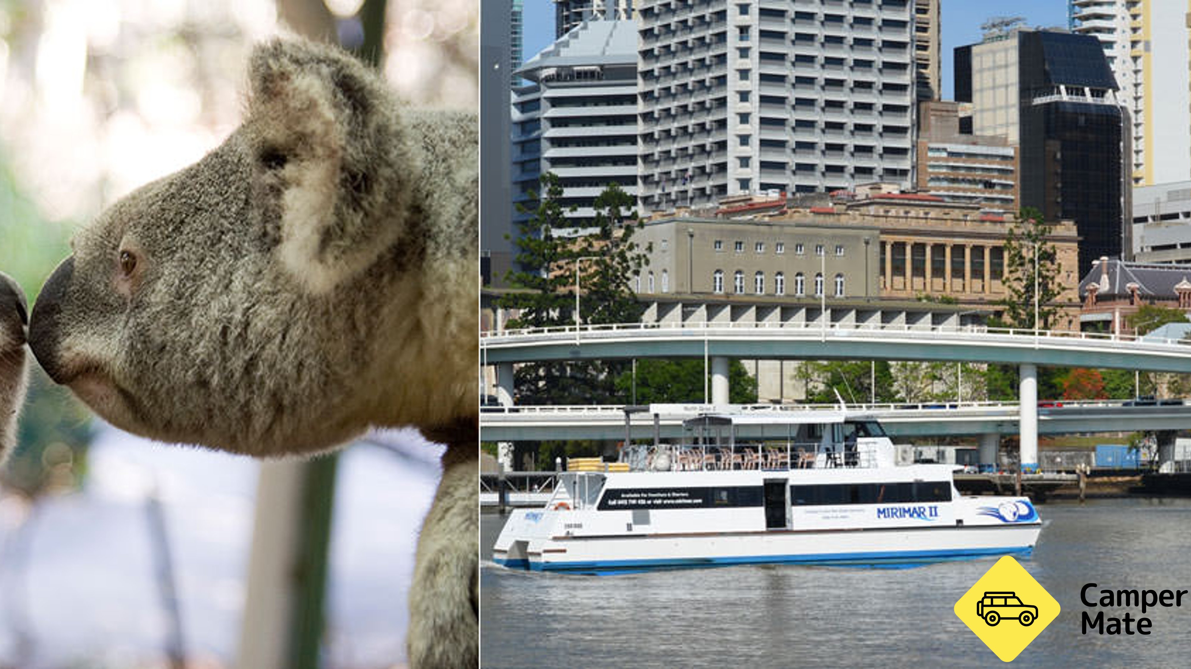 Lone Pine Koala Sanctuary with Return Scenic Cruise