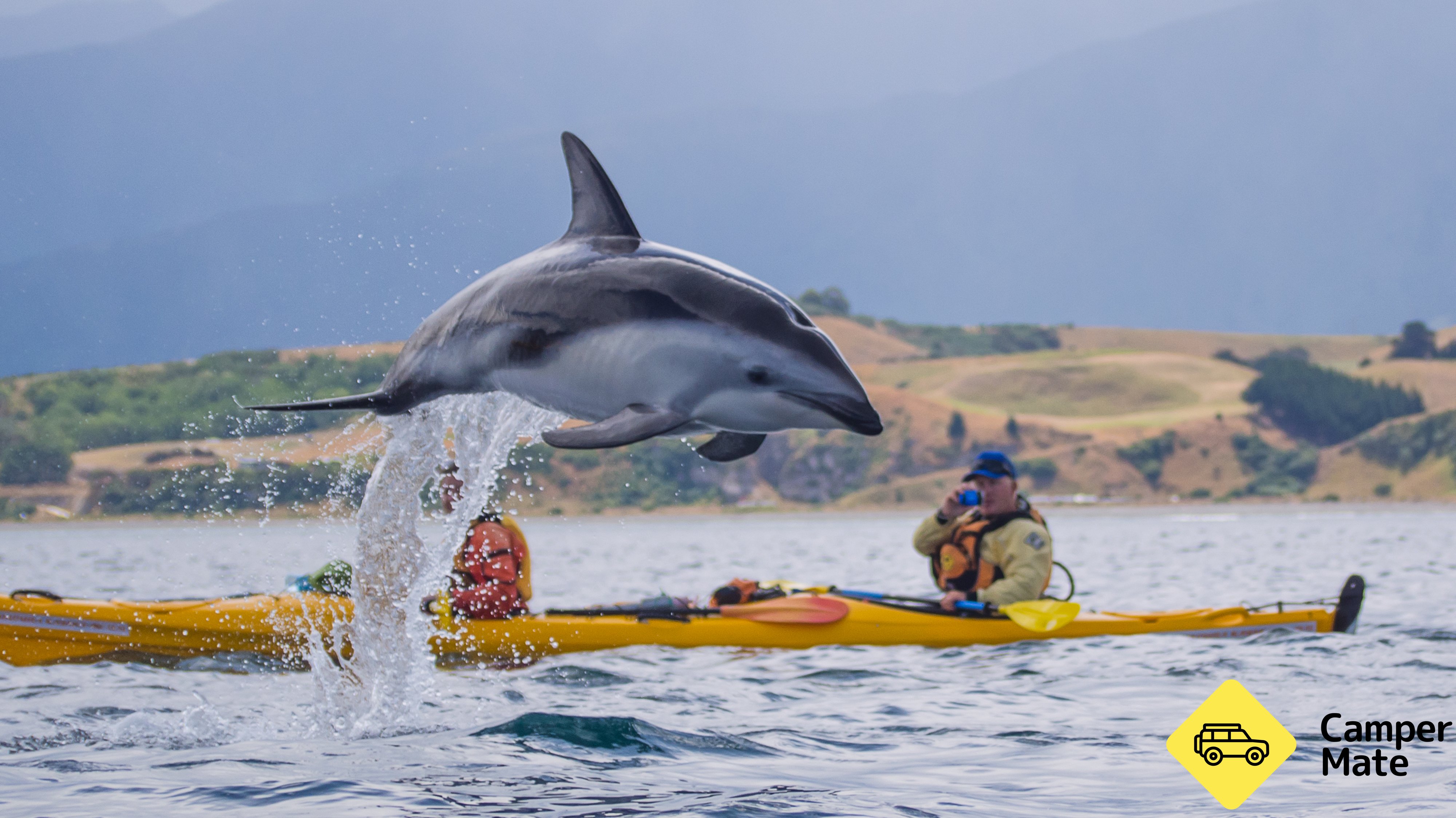 Kaikoura Kayaks