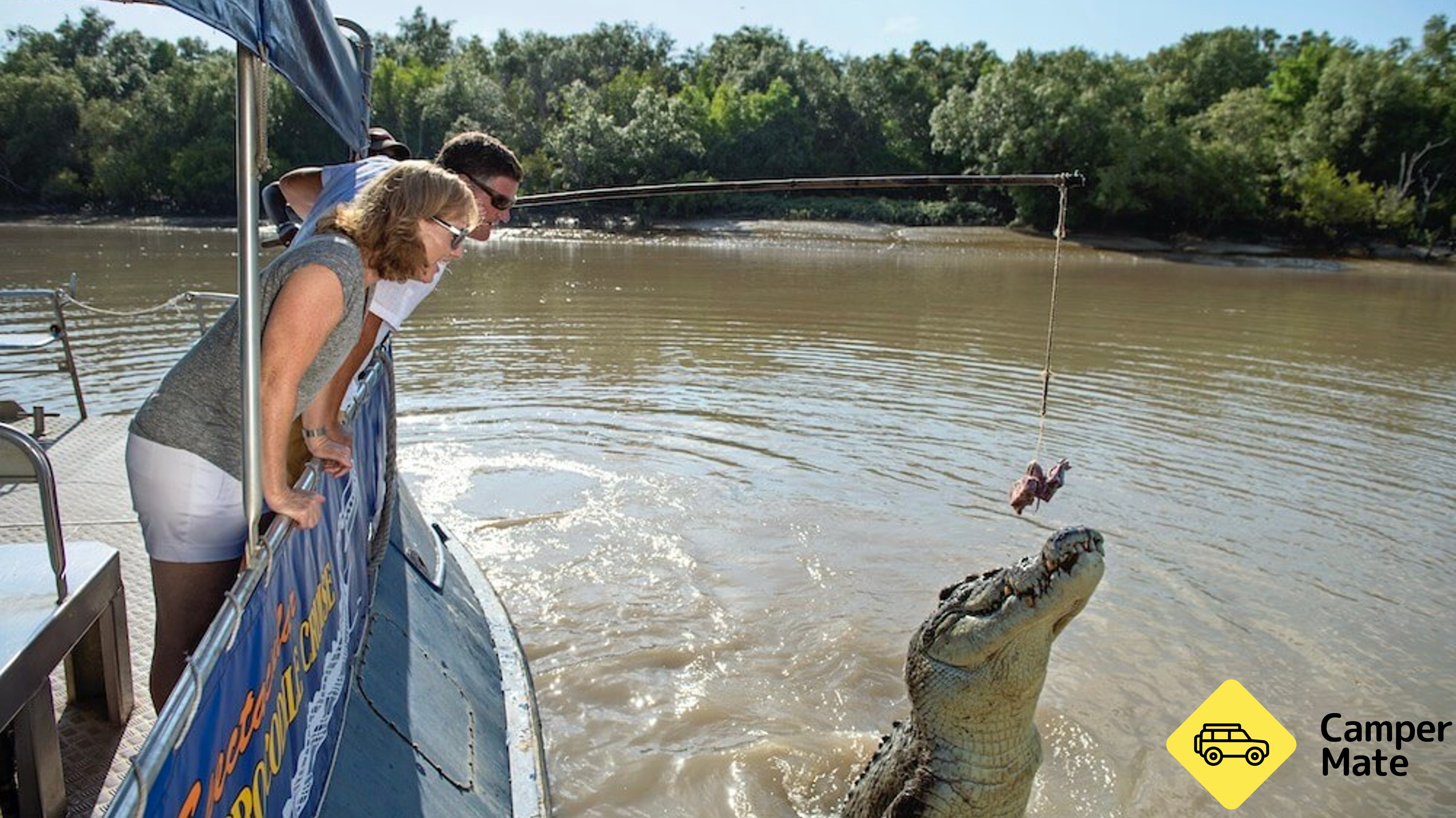 Spectacular Jumping Crocodile Cruise